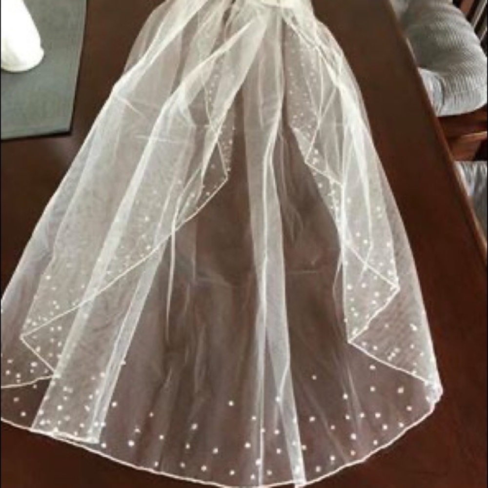 David’s Bridal Veil NWT